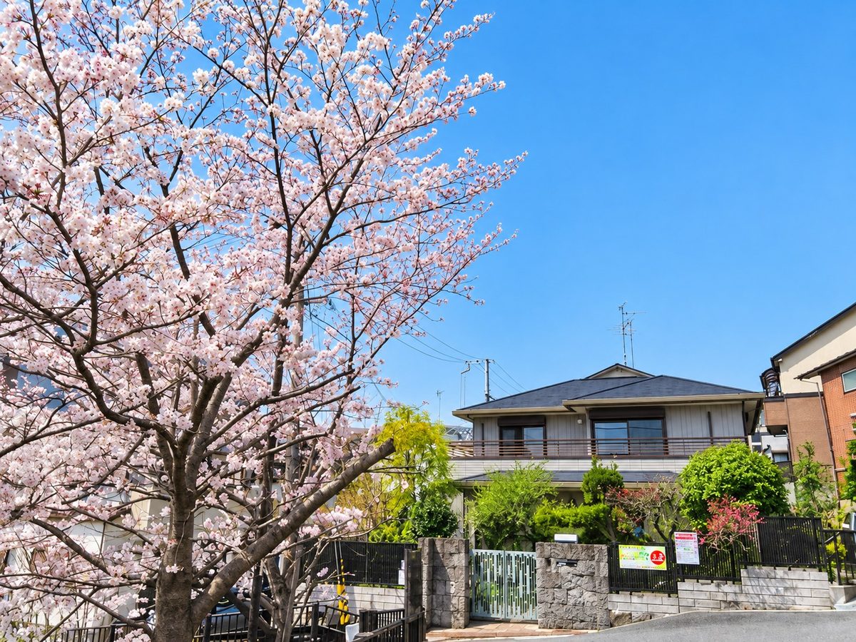 満開の桜に囲まれた、だんらんの家 上沢の外観
